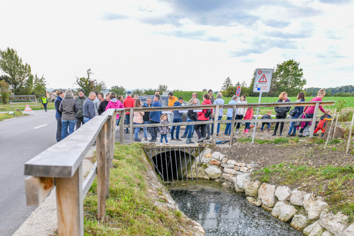 Un nouvel écrin naturel pour le ruisseau de la Diaz