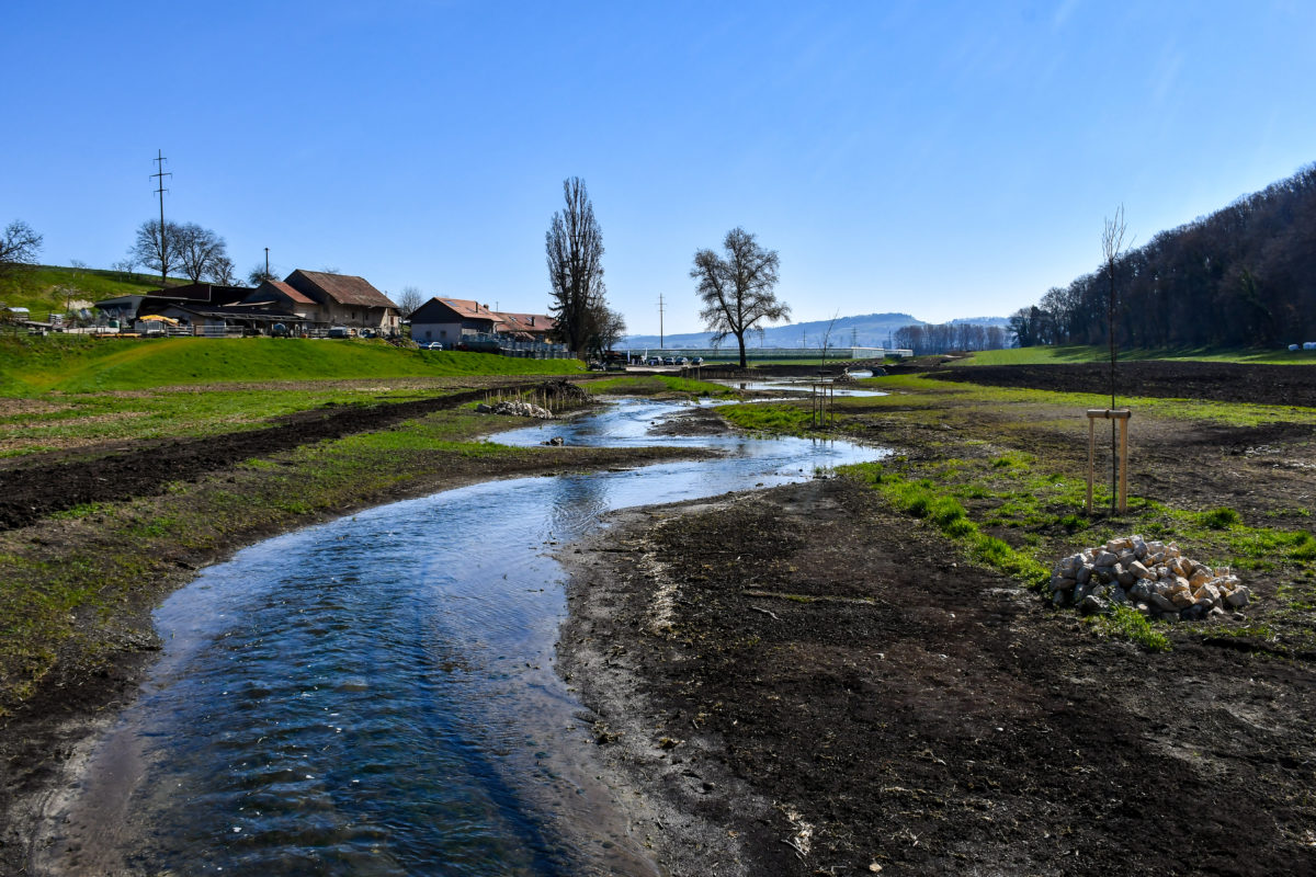 Un paradis au milieu de la tourbe