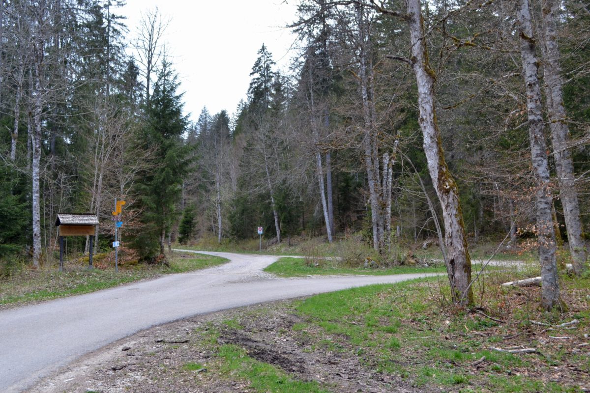La commune sur les bons chemins