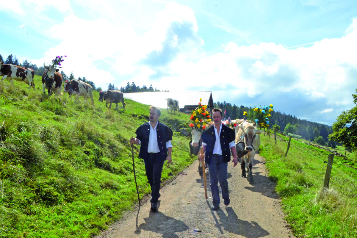 Une désalpe tout en folklore