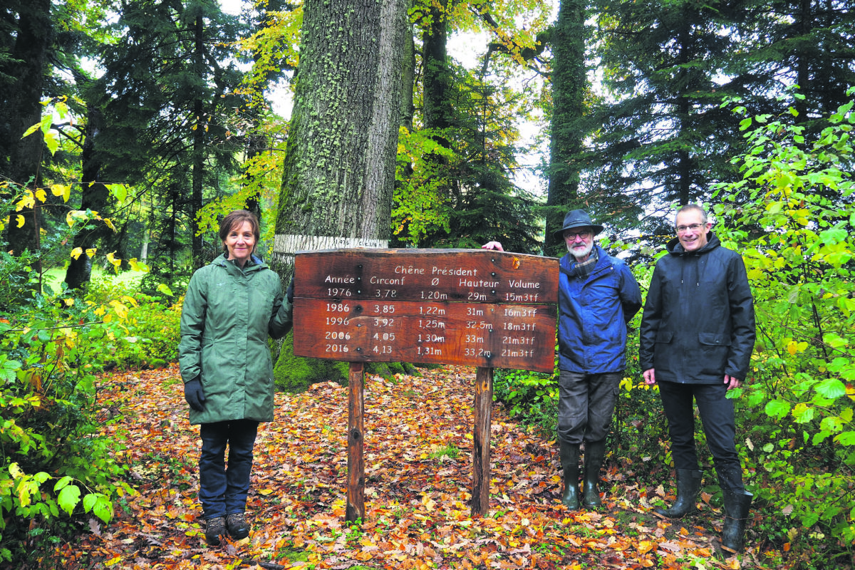 Baulmes ouvre les portes de ses forêts