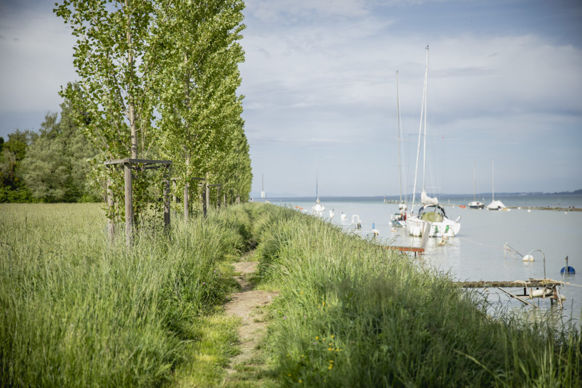 Biodiversité: Yverdon-les-Bains se dote d’un plan directeur de la nature